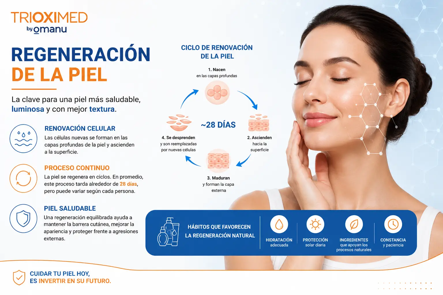 Infografía sobre la regeneración de la piel que muestra el ciclo de renovación celular y hábitos para favorecer una piel saludable.