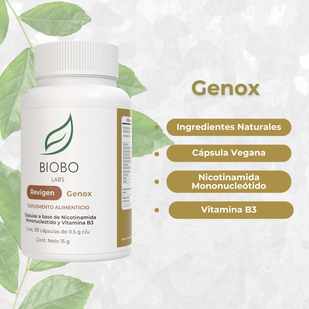 Revigen Genox 30 Caps 500 Mg